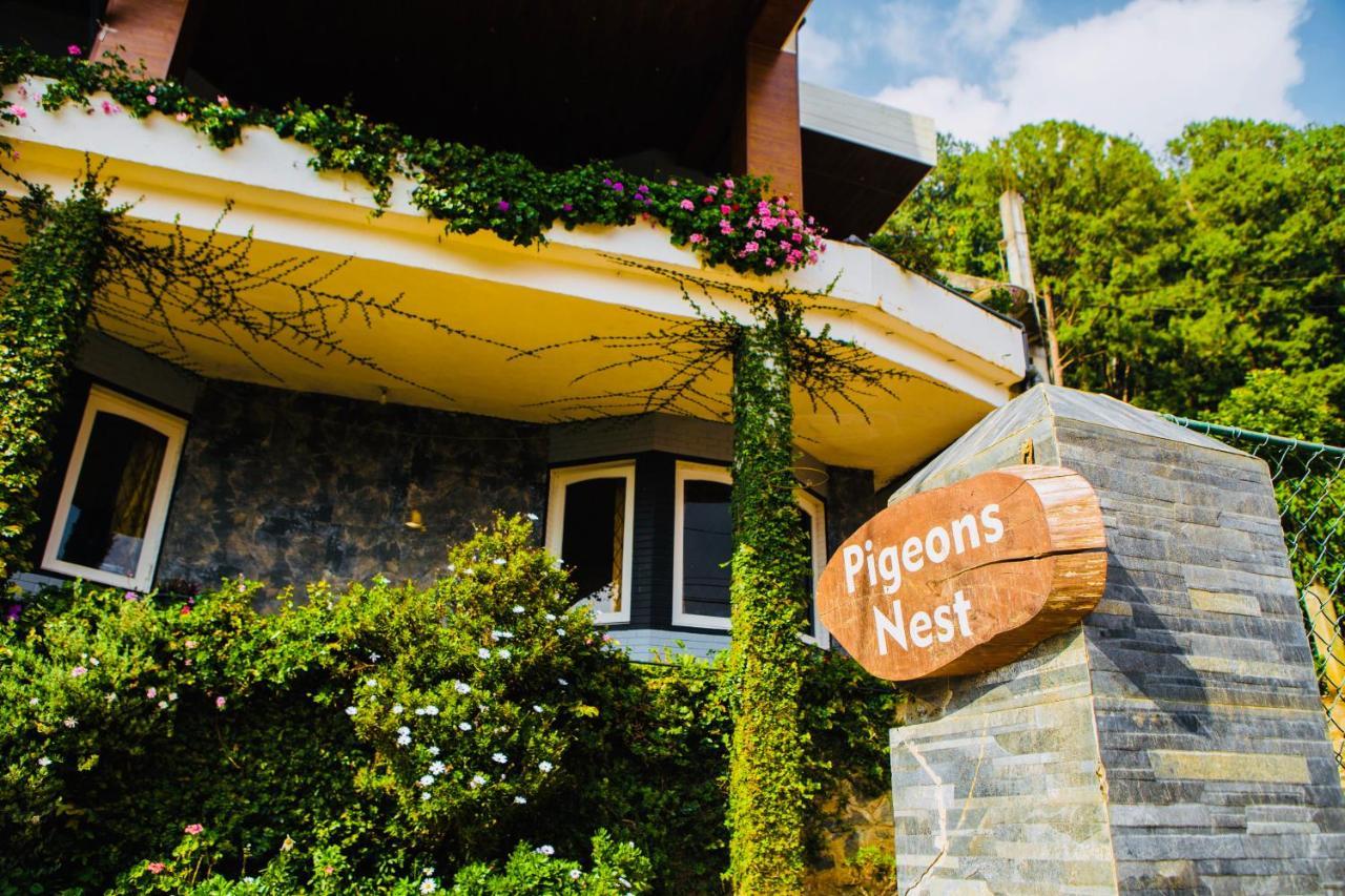 누와라 엘리야 Pigeons Nest B&B 외부 사진